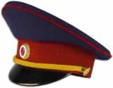 Фуражка сувенирная ФСИН (диаметр 17 см)