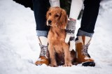 Ботинки Войлок/кожа Унисекс Рыжие